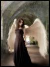 andilek10
